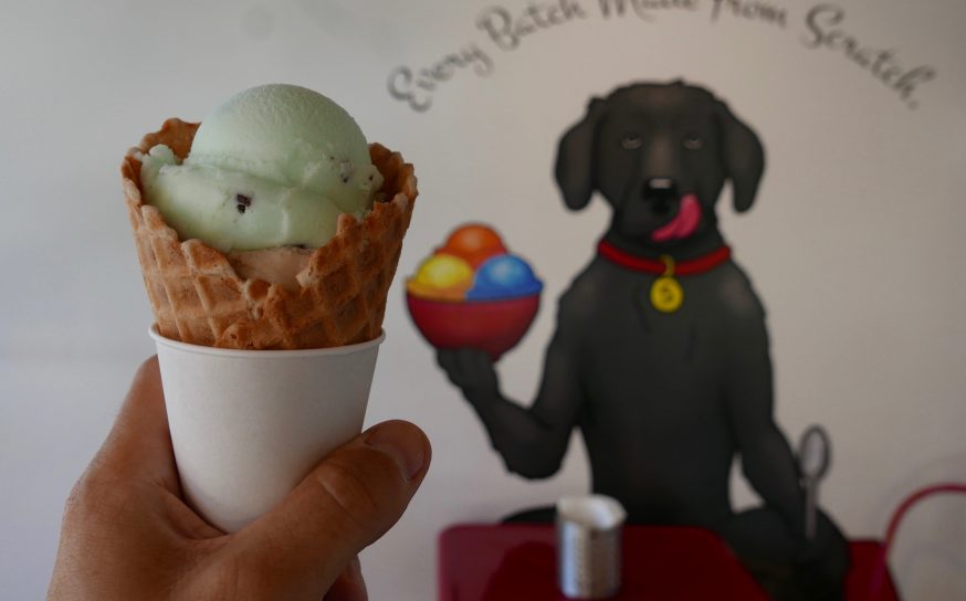 Ice Cream Sherman Oaks