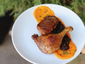 Duck Encino