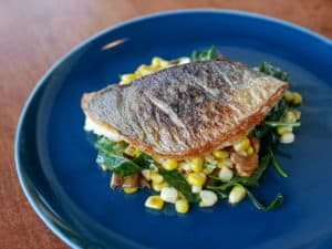 Fish Studio City